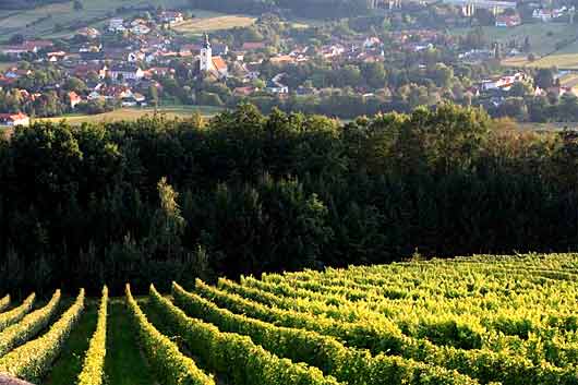 Kurort Bad Waltersdorf im Thermenland Steiermark